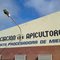 Asociación de Apicultores Villa Ángela