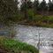 Mill Creek at Stuart Grenfell Park