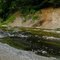 Mill Creek at Buell Park