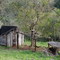 vivienda precaaaria