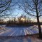 Long Shadows of Winter
