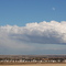 South Calgary Alberta