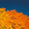 Autumn Sky at Clearfork Lake