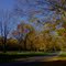 Clearfork Lake Park Autumn