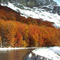 Tolhuin, ruta 3 en otoño