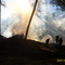 incendio forestal