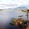Laguna Negra