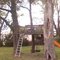 Our treehouse
