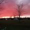 Fire Red Sky