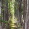 canal de riego