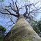 Pirenópolis 19-08-06 12-37-45