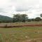 Área de pastagem para gado com serranias cobertas por floresta nativa, na zona rural de Pirenópolis - GO.