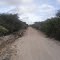 estrada na roça