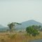 Estradas do Tocantins