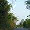 Estradas do Tocantins