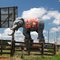 Elefante sem rabo