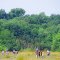 Caesar Creek Park