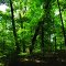 Caesar Creek Gorge