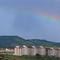 zona norte