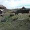 Oregon Homestead