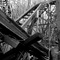 Abandeond Coaster