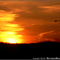 Chippewa Lake Park Sunset