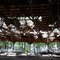 Chippewa Lake Picnic Pavillion