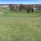 5886 Greenwich Road Seville OH 44273