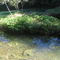 Balneario Tarumã-Bonito-MS