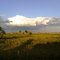 Evening Sky on Butler-Warren County Road, Liberty Twp, Ohio
