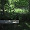 Bench by the Creek