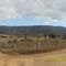 Vista Panorâmica da Rocha da Bolacha Espinosa-MG