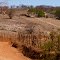 fazenda
