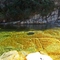Paraíso Perdido | Piscina natural de água cristalina
