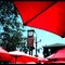 Red Umbrellas Westerville, OH