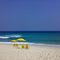 What would you like to be doing, surfing or diving?