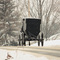 Center Street - Amish Buggy headed out of town