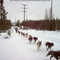 Championship Sprint Race, Anchorage