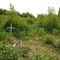 Yukla 27 Crash Site Memorial (22 Sep 1995)