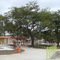 Hercílio, S. Vicente.