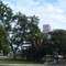 Praça do Gil, o verde.