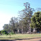 Praça do Jardim Vivendas-SJRP/SP