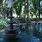 Bosque de São José do Rio Preto SP.