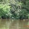 Rio Trombetas, Brazil
