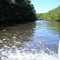 Caminho no Mangue