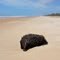Praia Ilha de Comandatuba