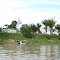 RIOS DO ACRE