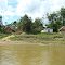 RIBEIRINHOS=TARAUACÁ=ACRE