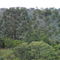 Visão frontal