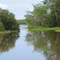 Paysage de l'Amazone